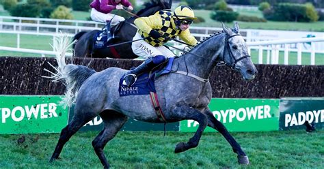 grand national horses odds 2023